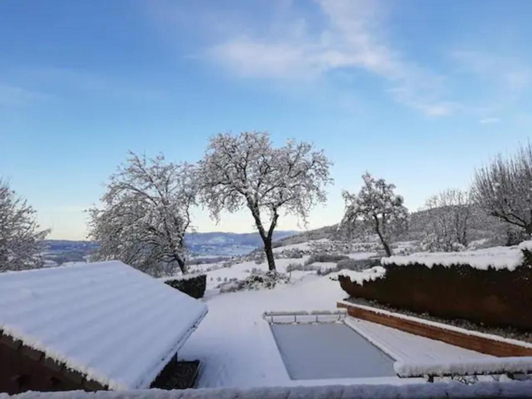 5 Min Des Pistes De Ski Grand Studio Mezzanine Viuz-en-Sallaz Екстер'єр фото