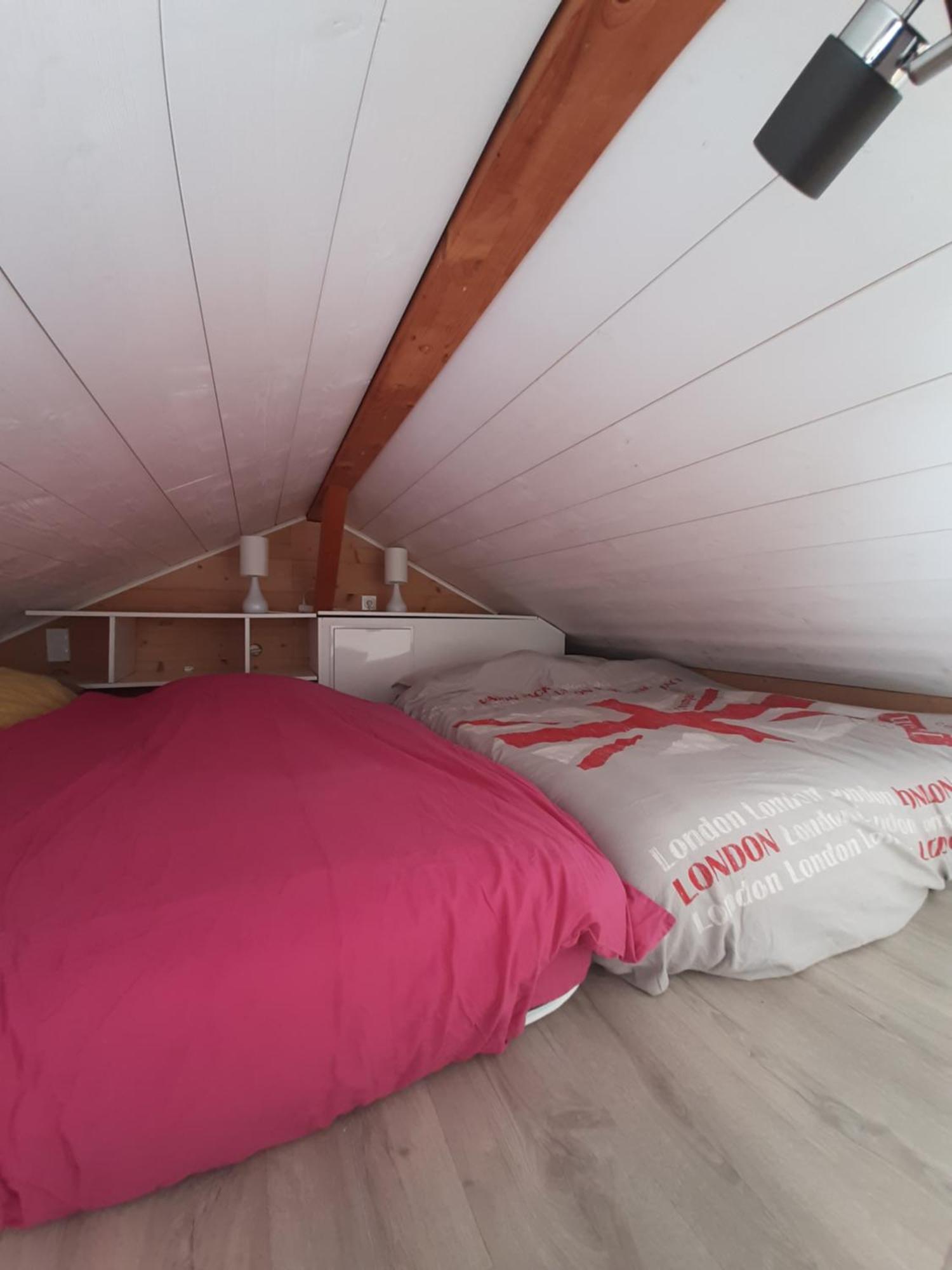 5 Min Des Pistes De Ski Grand Studio Mezzanine Viuz-en-Sallaz Екстер'єр фото